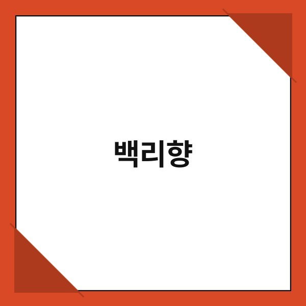 백리향 백리향 1