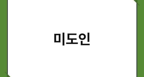 미도인 1