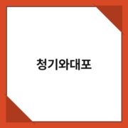 청기와대포 청기와대포 1