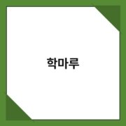 학마루 학마루 2